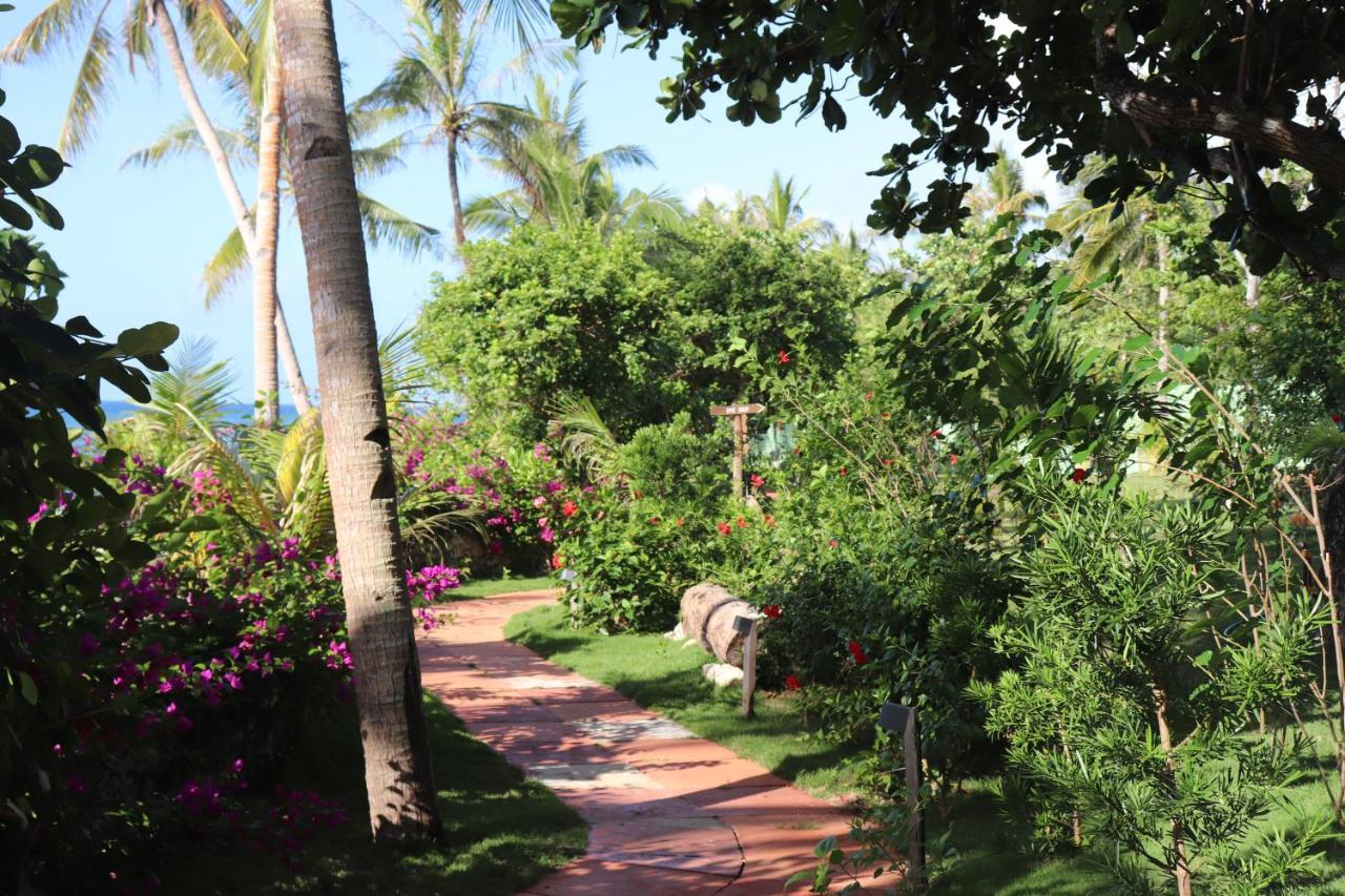 Island View Beachfront Resort Анда Екстер'єр фото